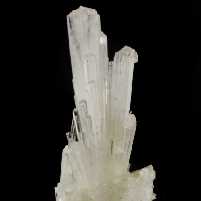 5.2" Stick Up Spray of Clear SCOLECITE Sharp Radiating Crystals India for sale