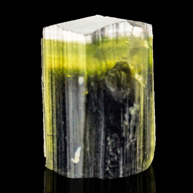 16mm 19.6ct Tri-Color ELBAITE TROUMALINE Terminated Crystal Pakistan for sale