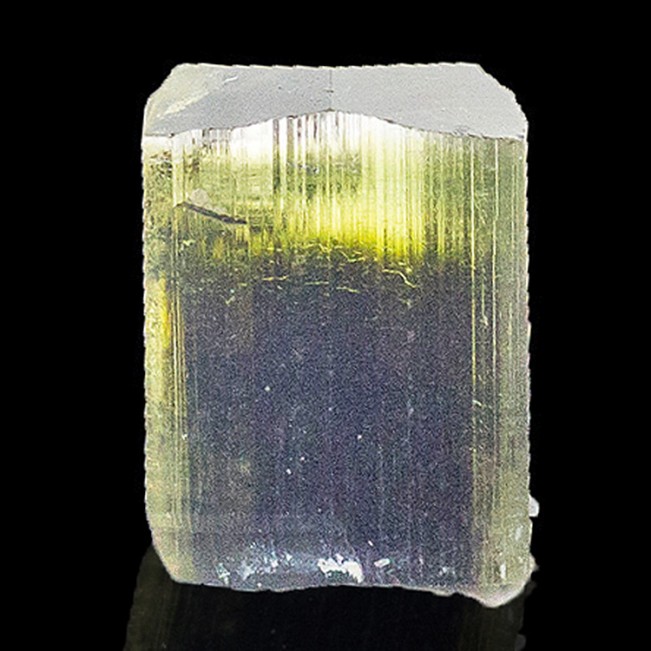 16mm 19.6ct Tri-Color ELBAITE TROUMALINE Terminated Crystal Pakistan for sale