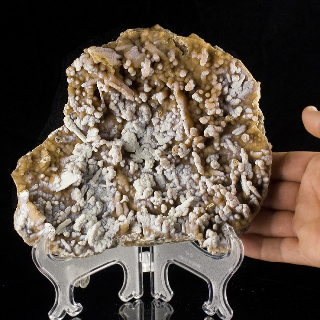 9.2" White on Tan CHALCEDONY & AGATE STALACTITES to 1.5" Georgia USA for sale