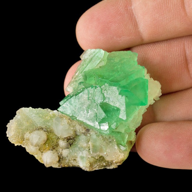 2.4" Jello Green Octahedral FLUORITE Crystals on Quartz South Africa for sale
