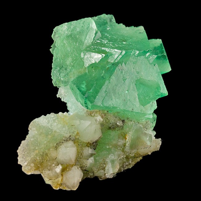 2.4" Jello Green Octahedral FLUORITE Crystals on Quartz South Africa for sale
