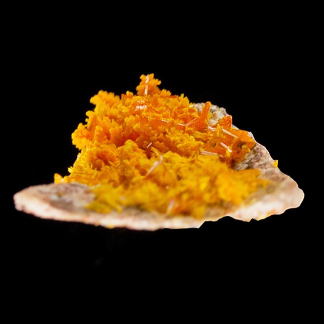 1.9" Tabular Orange WULFENITE Crystals +Light Orange MIMETITE Rowley AZ for sale