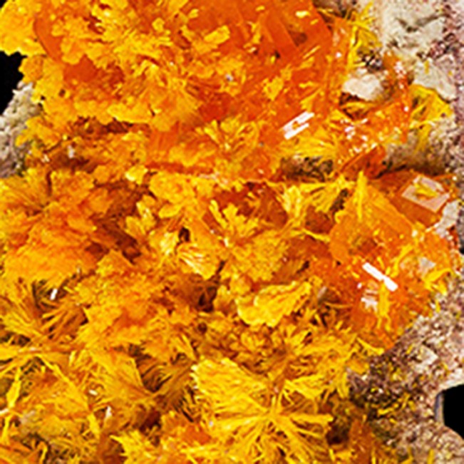 1.9" Tabular Orange WULFENITE Crystals +Light Orange MIMETITE Rowley AZ for sale