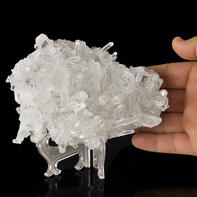 6.3" Spiky Forest ofSharp Terminated Gem Clear QUARTZ Crystals Arkansas for sale