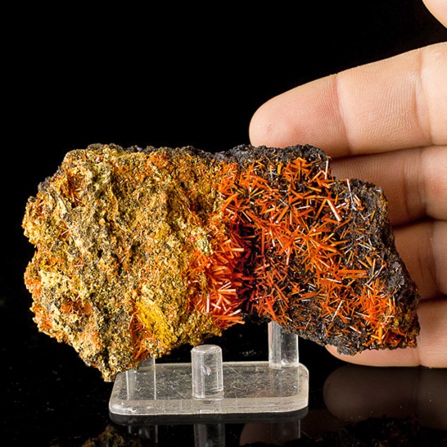  4.0" Sizzling Red CROCOITE Terminated Square Hollow Crystals Tasmania for sale 