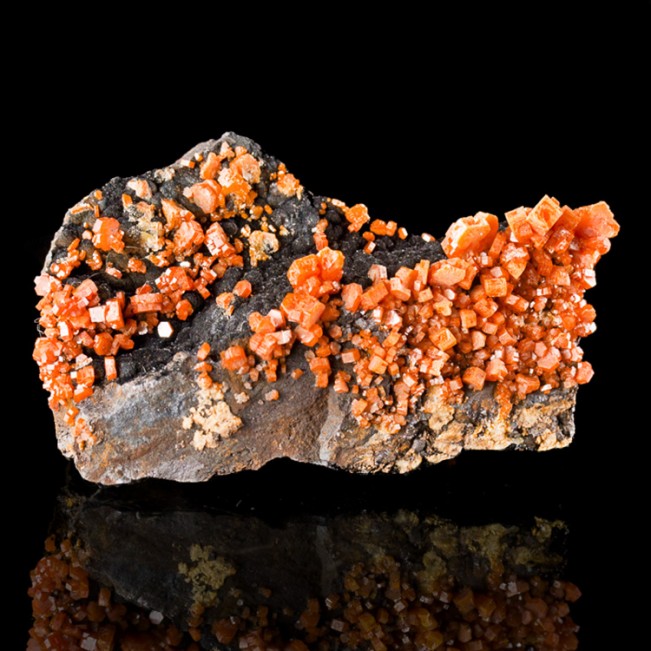 2.3" Red Orange VANADANITE Crystals on Black Velvet GOETHITE Morocco for sale