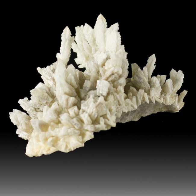 3.5" Sharp Dendritic Cockscomb BARITE CRYSTALS Light Blue-Gray Spain for sale