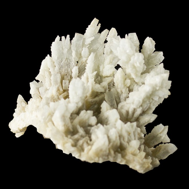 3.5" Sharp Dendritic Cockscomb BARITE CRYSTALS Light Blue-Gray Spain for sale