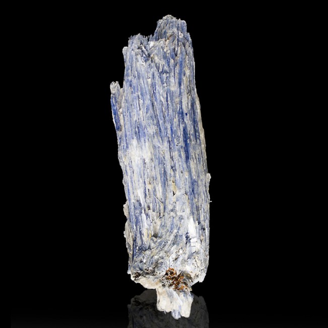 8.4" Long Royal Sapphire Blue KYANITE Lustrous Crystals Bahia Brazil for sale