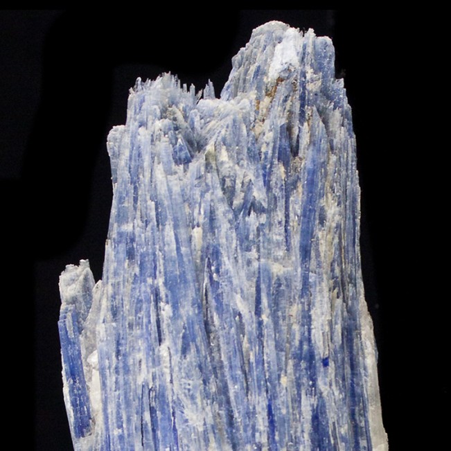 8.4" Long Royal Sapphire Blue KYANITE Lustrous Crystals Bahia Brazil for sale