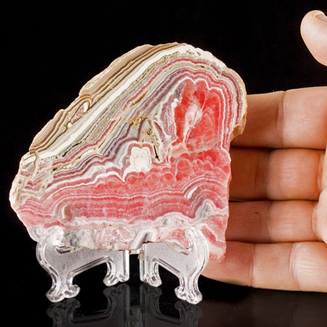 4.4" Pink Red Tan+White RHODOCHROSITE STALACTITE PolishedSlab Argentina for sale