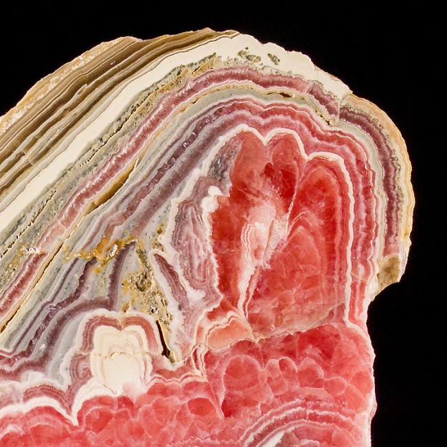 4.4" Pink Red Tan+White RHODOCHROSITE STALACTITE PolishedSlab Argentina for sale
