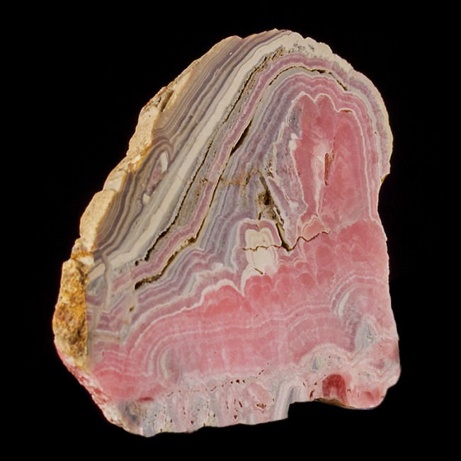 4.4" Pink Red Tan+White RHODOCHROSITE STALACTITE PolishedSlab Argentina for sale