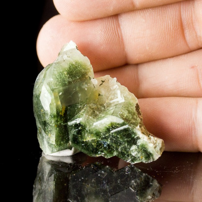 1.9" Glassy Green APATITE Cluster w-Phantom Crystals Sapo Mine Brazil for sale