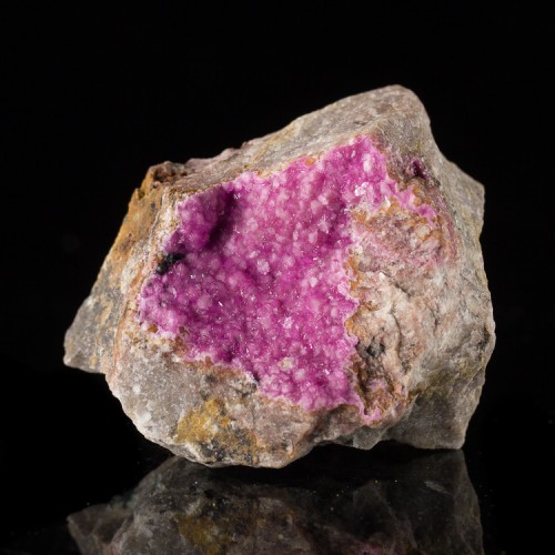 2.6" OutrageousRadiant NeonPink COBALTOAN CAL...