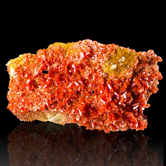 4.5" Electric Red VANADANITE Sharp Shiny Gemmy Crystals to .3" Morocco for sale
