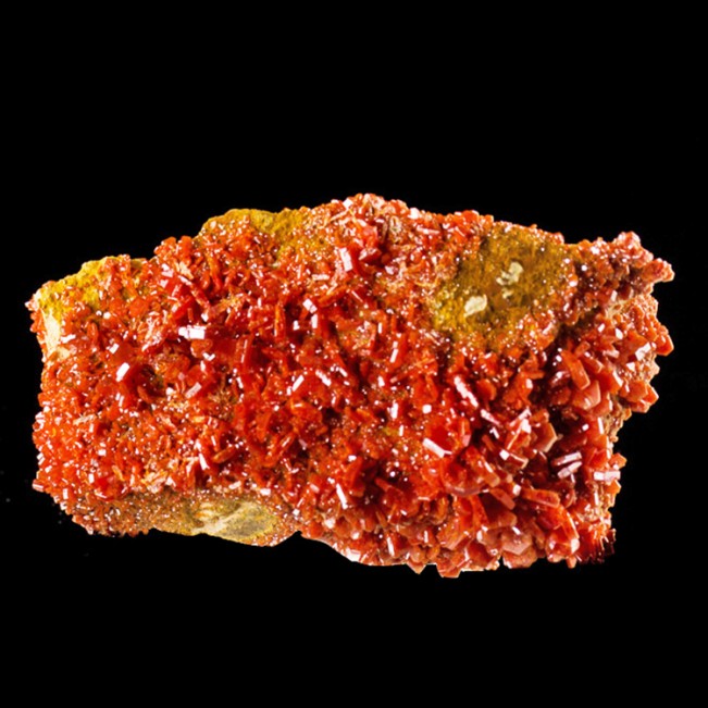 4.5" Electric Red VANADANITE Sharp Shiny Gemmy Crystals to .3" Morocco for sale