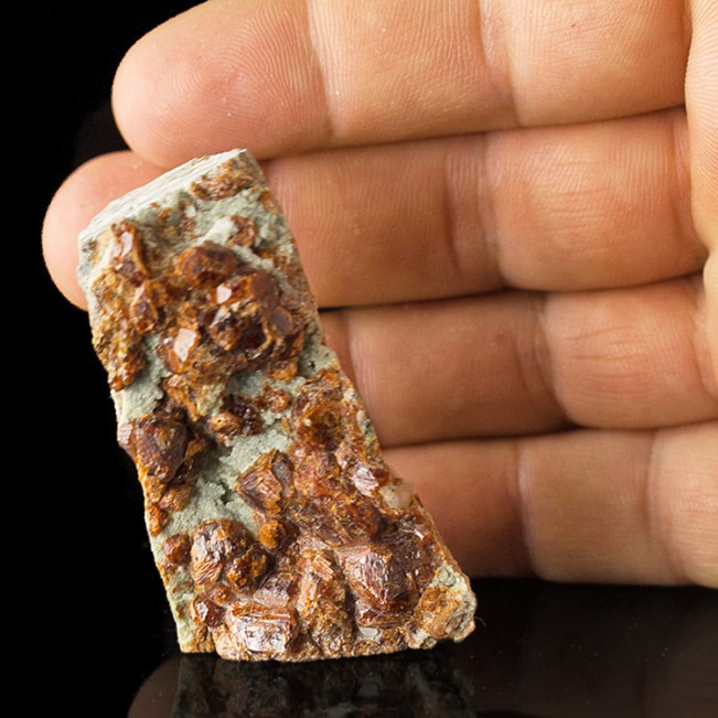 2.5" GROSSULAR GARNET (var. Hessonite) Dark Red Crystals Eden Mills VT for sale