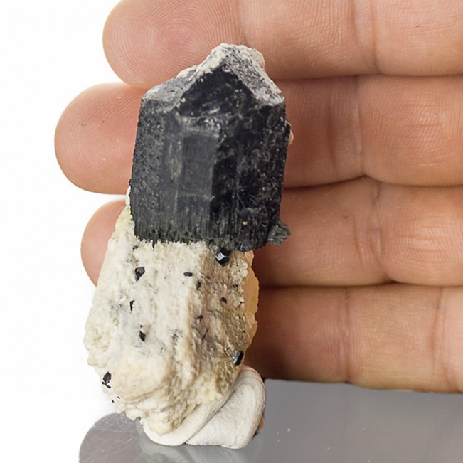 2.7" Flashy Mirror-Bright BLACK TOURMALINE Crystal on Creamy Microcline for sale