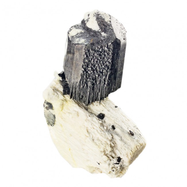 2.7" Flashy Mirror-Bright BLACK TOURMALINE Crystal on Creamy Microcline for sale