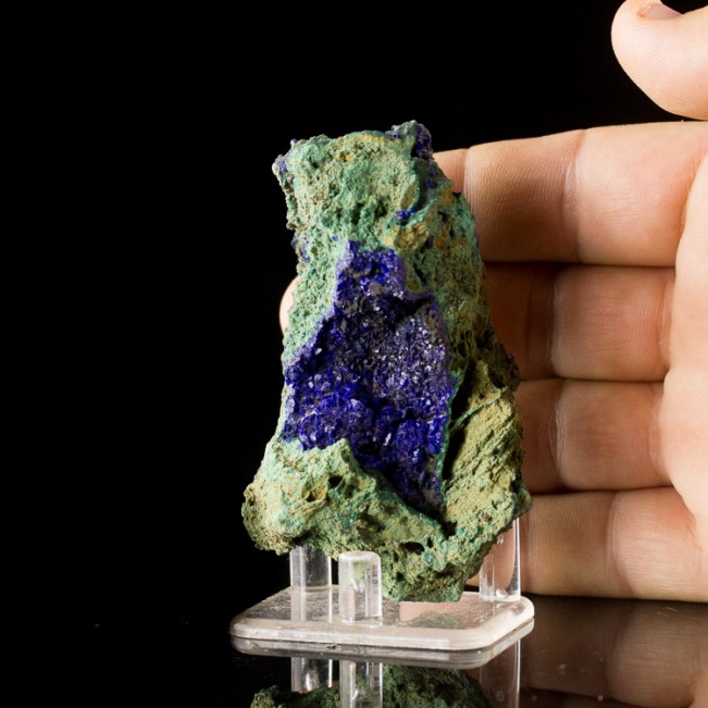 3.5" Indigo Blue AZURITE Crystals in a Vug w-Green MALACHITE China for sale