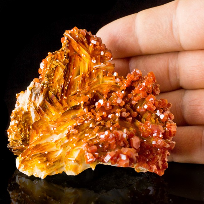 3.7" Eye Candy RED VANADANITE V.Sharp Wet-Look Tabular Crystals Morocco for sale
