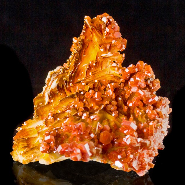 3.7" Eye Candy RED VANADANITE V.Sharp Wet-Look Tabular Crystals Morocco for sale