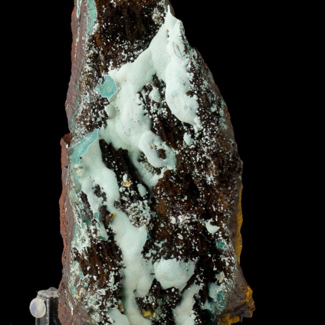 3.9" Velvet Bubbly ROSASITE Botryoidal Crystals Bright Turquoise Mexico for sale