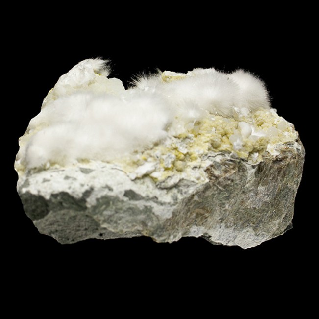 6.4" Radiating White OKENITE Puffball Acicular Crystals +Gyrolite India for sale