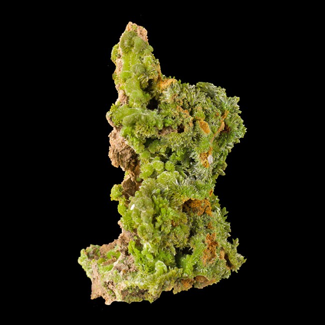2.7" Grass Green Wet-Look Luster PYROMORPHITE Crystals on Matrix France for sale