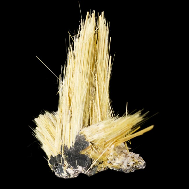 1.6" Golden Crystal Needles of RUTILE Growing from ShinyHEMATITE Brazil for sale