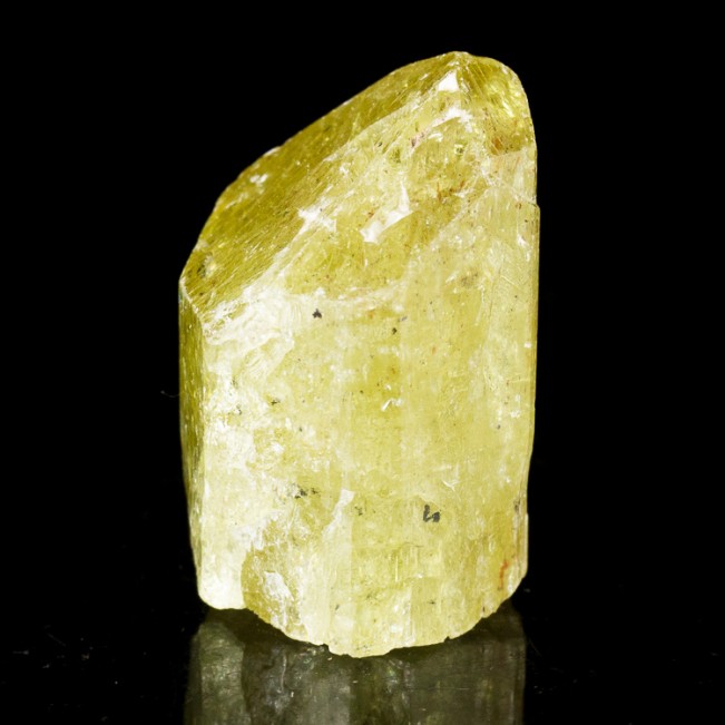 1.4" Lemon Yellow GOLDEN APATITE Lustrous Terminated Crystal Mexico for sale