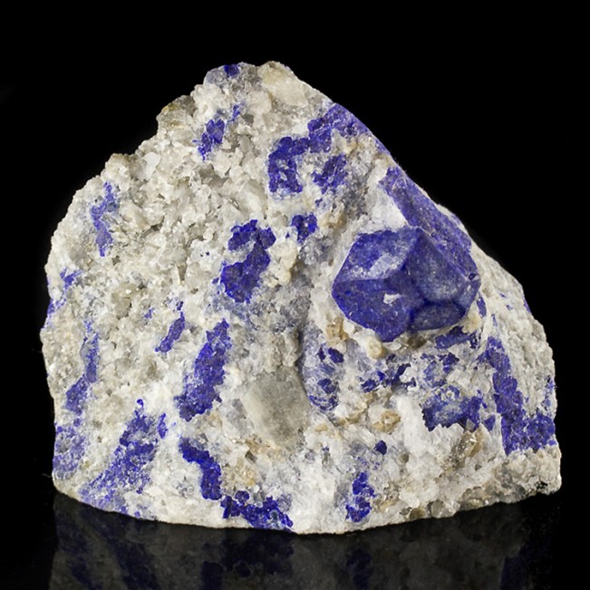 2.4" Ultramarine Blue LAZURITE Crystals in White Marble Afghanistan for sale
