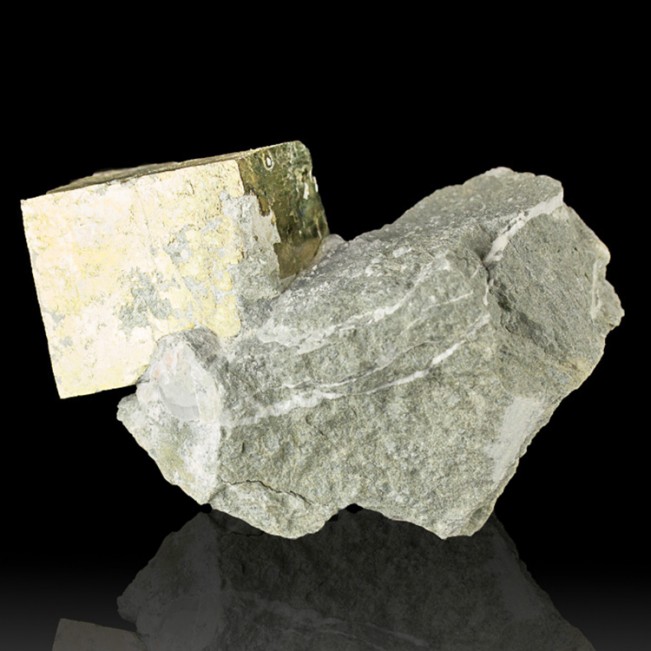 4.3" Brassy Golden PYRITE Cubic Crystals to 2.6" on Matrix Spain for sale