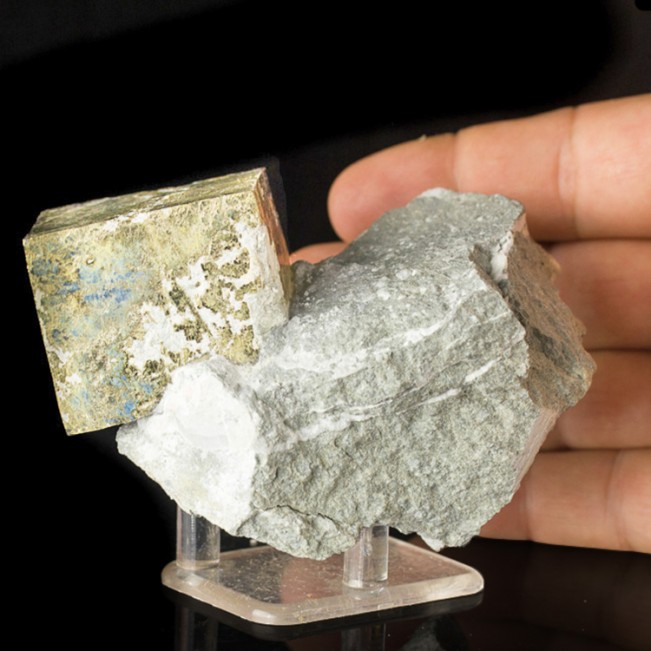 4.3" Brassy Golden PYRITE Cubic Crystals to 2.6" on Matrix Spain for sale