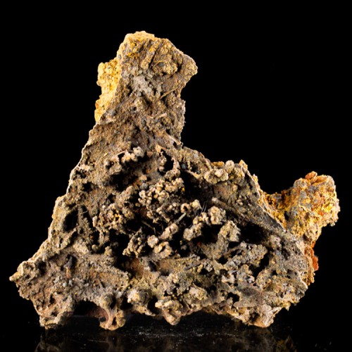 4.1" GOETHITE STALACTITES Complex GrayBrown F...