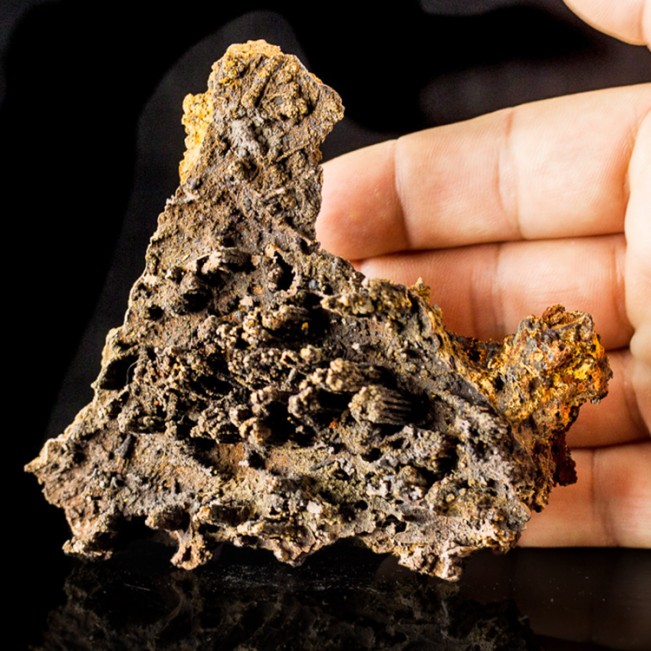4.1" GOETHITE STALACTITES Complex GrayBrown Formation +Gold Tips Mexico for sale