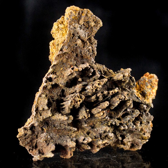 4.1" GOETHITE STALACTITES Complex GrayBrown Formation +Gold Tips Mexico for sale