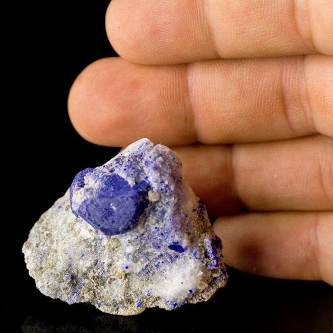 1.8" DarkBlue LAZURITE LAPIS LAZULI Crystal in White Marble Afghanistan for sale