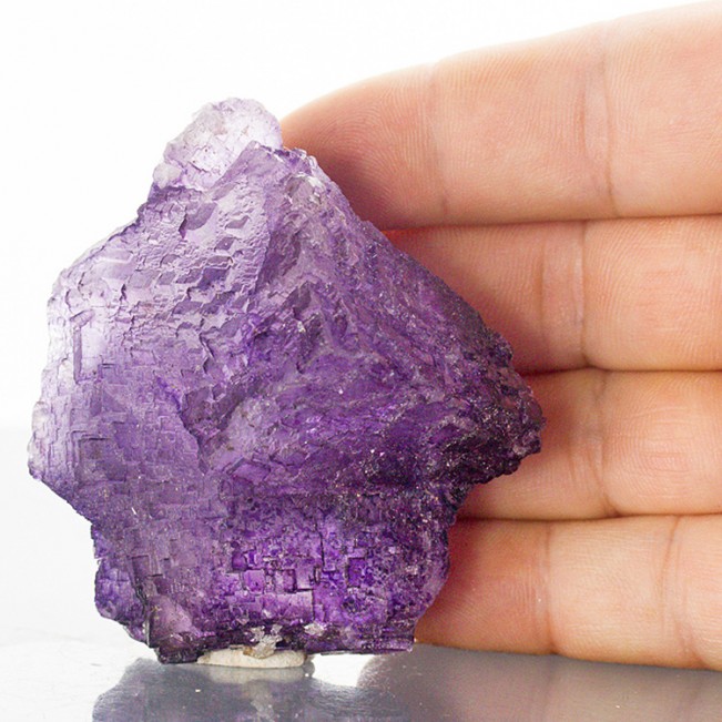 2.8" Sharp Lustrous Violet Step Face FLUORITE Crystals to 2" Elmwood TN for sale