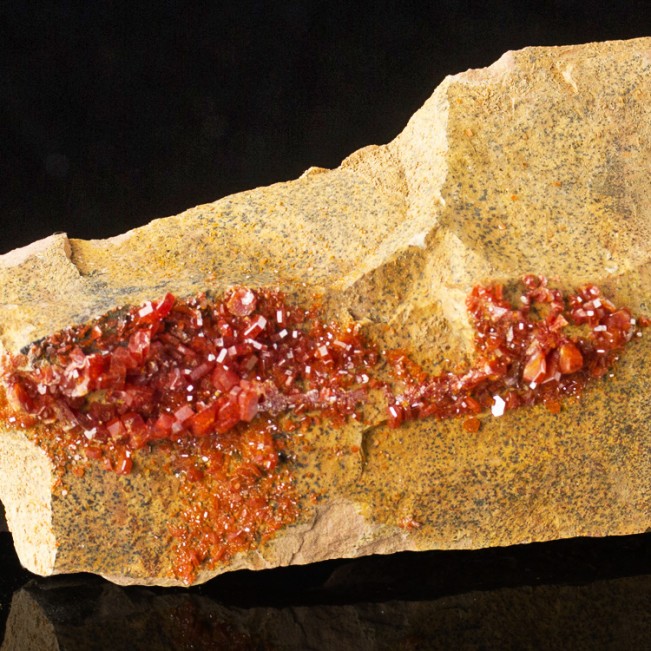 5.6" Shiny Sharp Red VANADANITE Hexagonal Crystals on TanMatrix Morocco for sale