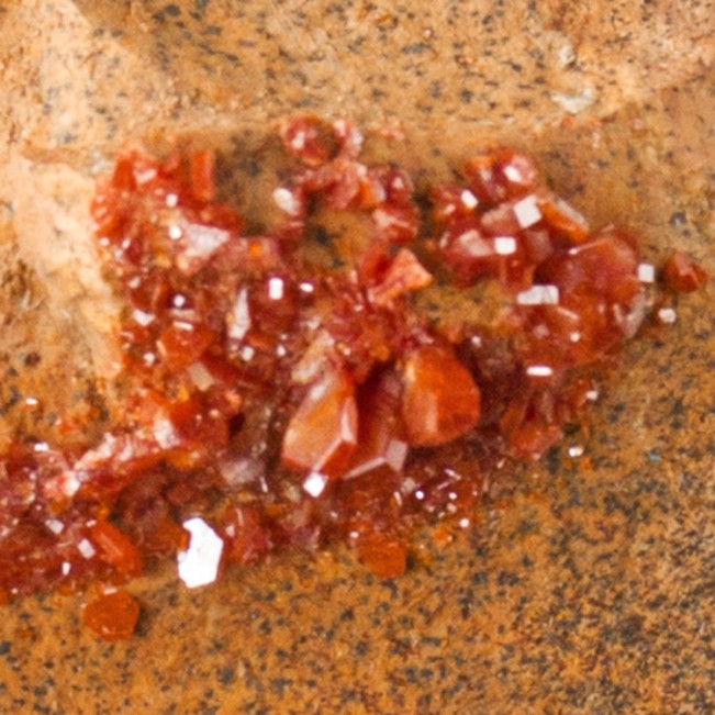 5.6" Shiny Sharp Red VANADANITE Hexagonal Crystals on TanMatrix Morocco for sale