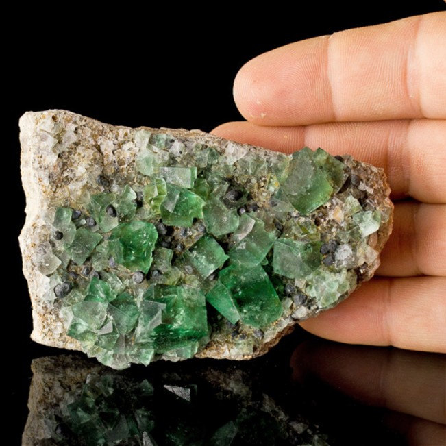 3.6" Blue-Green Glassy Gem Cubic FLUORITE Crystals to .7" Rogerley M UK for sale
