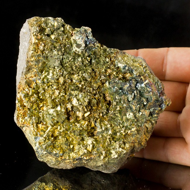 5.1" ShinySharp Iridescent Gold CHALCOPYRITE Crystals onMatrix Missouri for sale