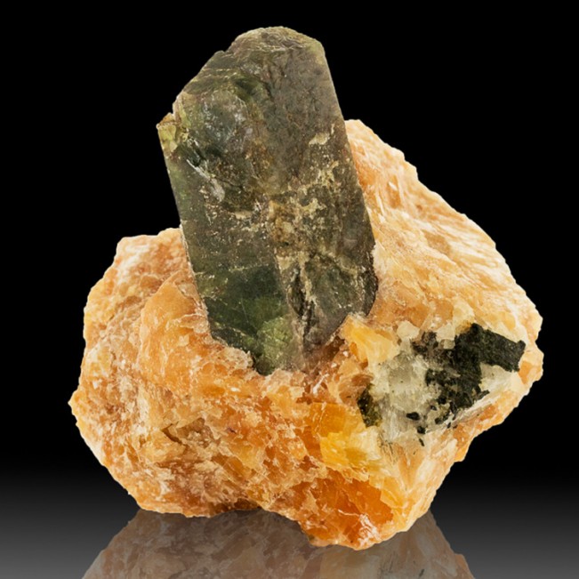 2.6" Earthy Greenish Brown APATITE Crystal on Matrix Sharp+Shiny Quebec for sale