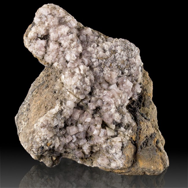 6.5" Lavender-Purple FLUORITE Crystals w-Galena Blackdene Mine England for sale