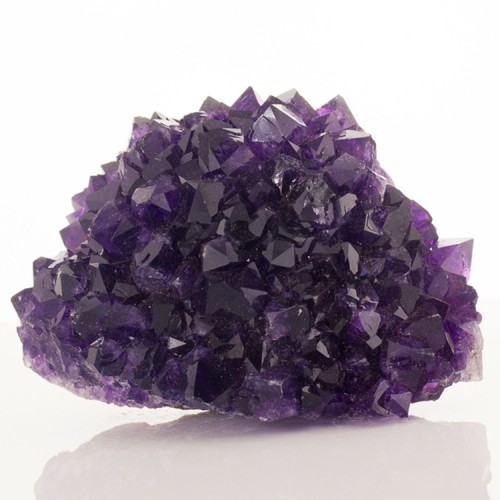 3.4" Hedgehog Cluster of Royal Purple-Violet ...