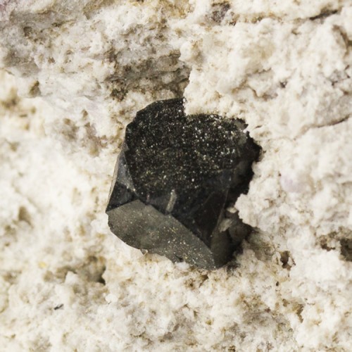9.5mm BIXBYITE Sharp Crystals on 3" White Rhy...