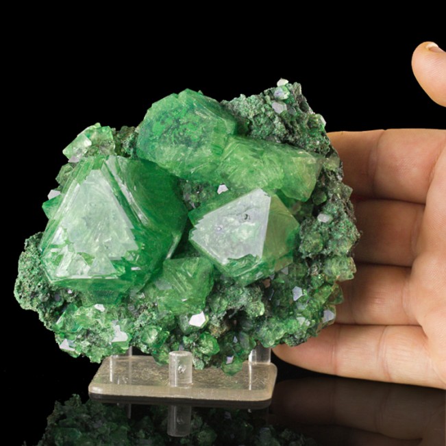 4.8" Green ALUM Sharp Gemmy Octahedral Crystals to 2.1"Poland Lab Grown for sale